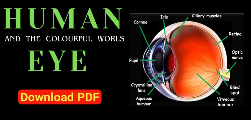 The Human Eye and the Colourful World