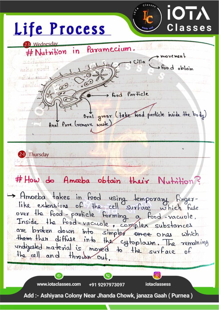 Life process class 10 Biology -images-10