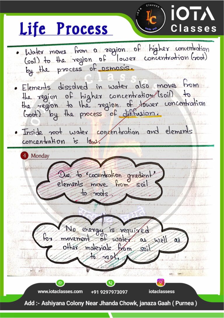 Life process class 10 Biology -images-14
