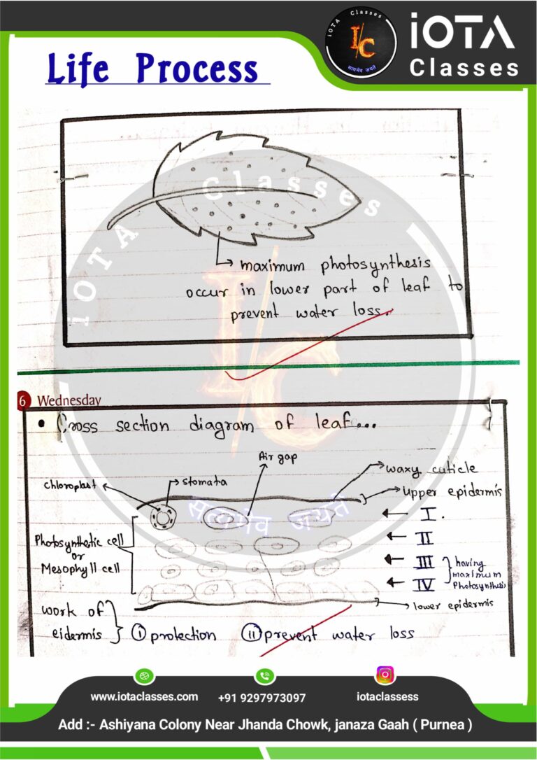 Life process class 10 Biology -images-15