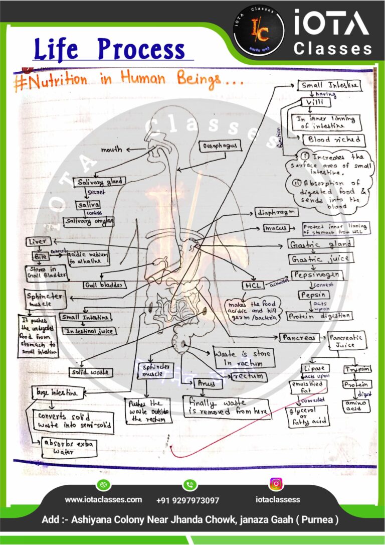 Life process class 10 Biology -images-17