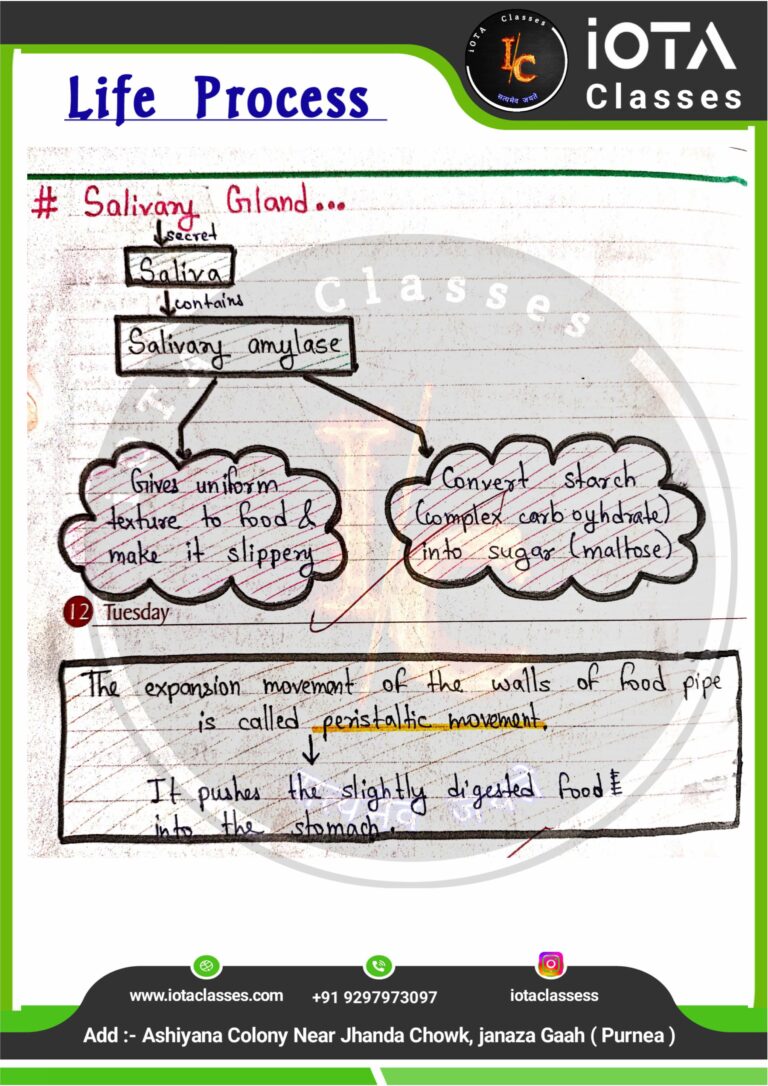 Life process class 10 Biology -images-18