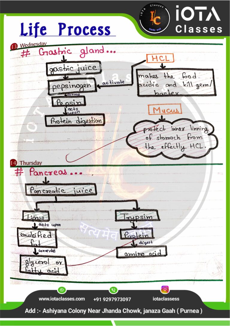 Life process class 10 Biology -images-19