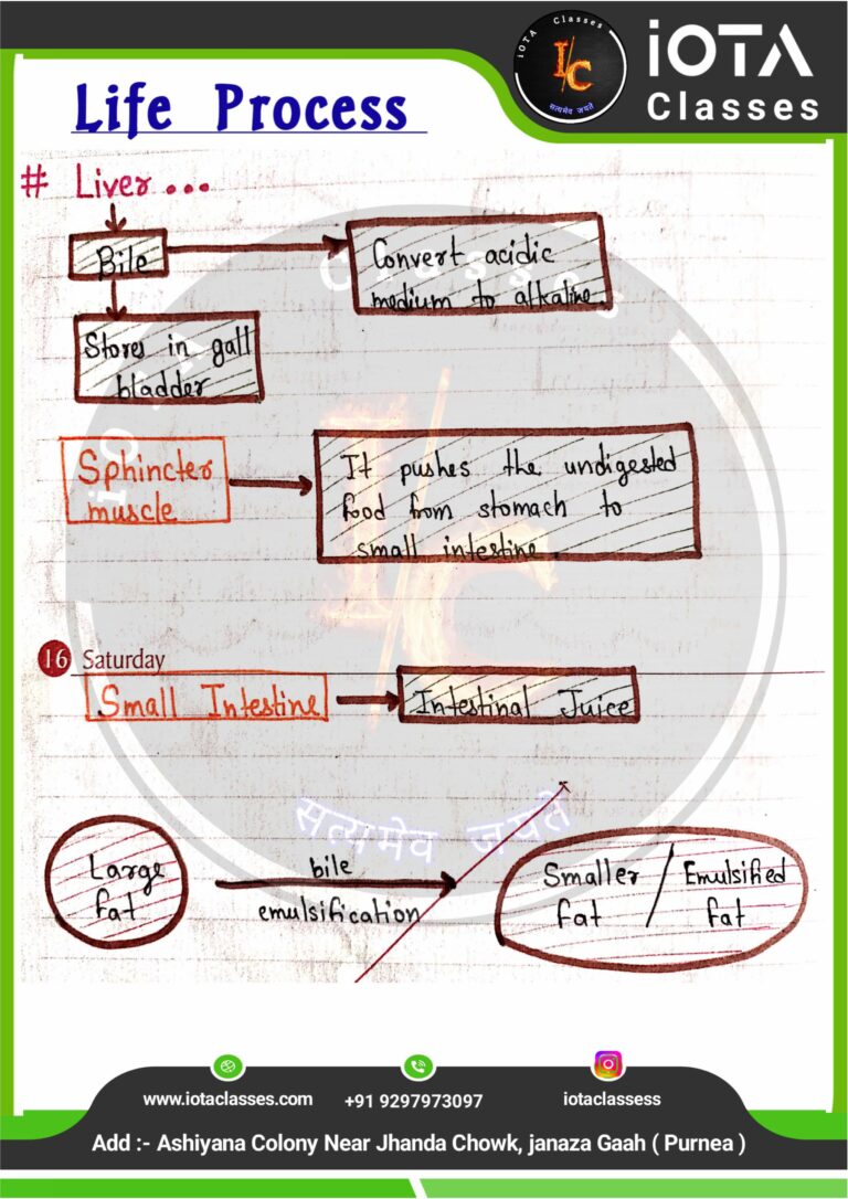 Life process class 10 Biology -images-20