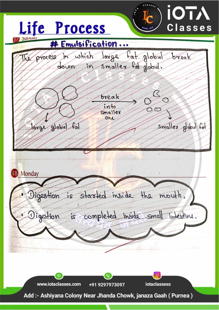 Life process class 10 Biology -images-21