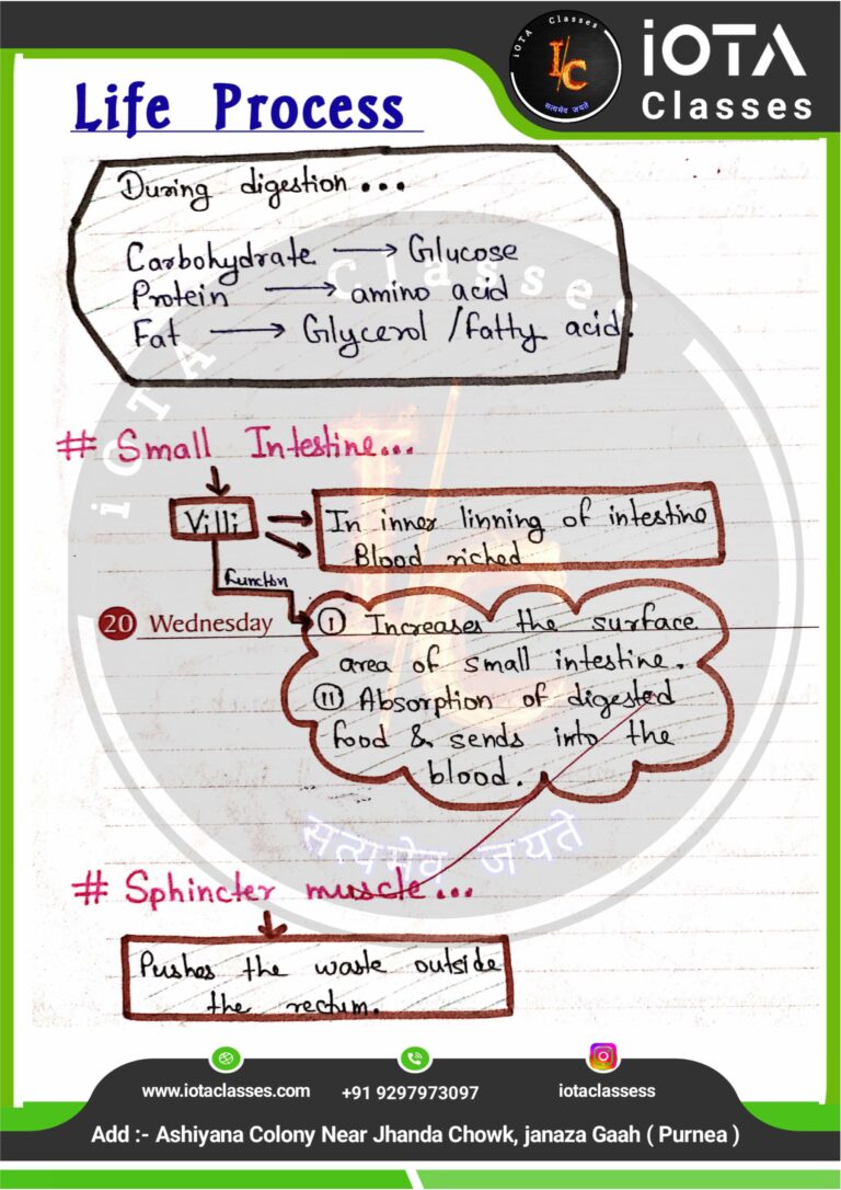 Life process class 10 Biology -images-22
