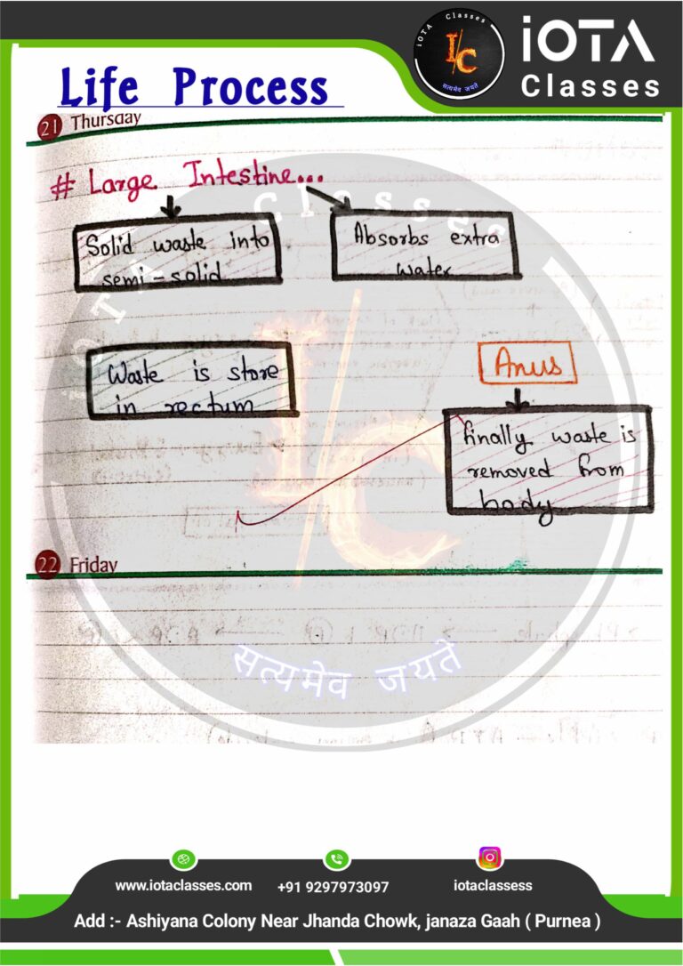 Life process class 10 Biology -images-23