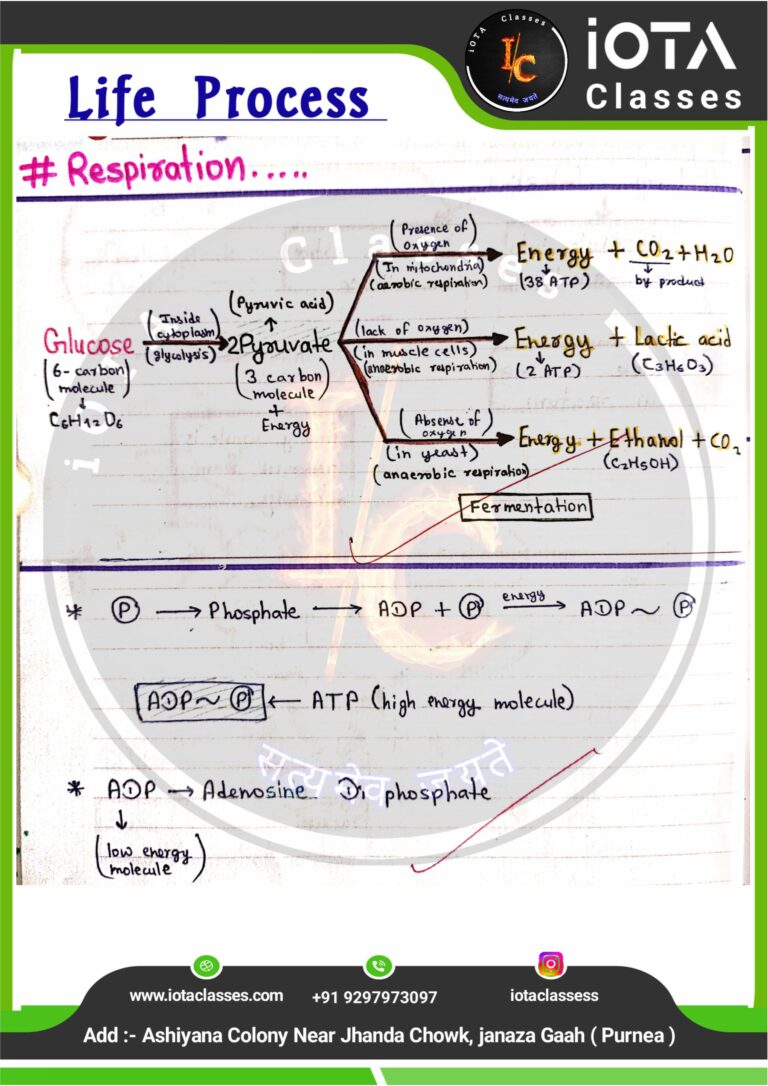 Life process class 10 Biology -images-24