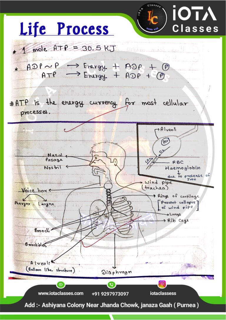Life process class 10 Biology -images-25