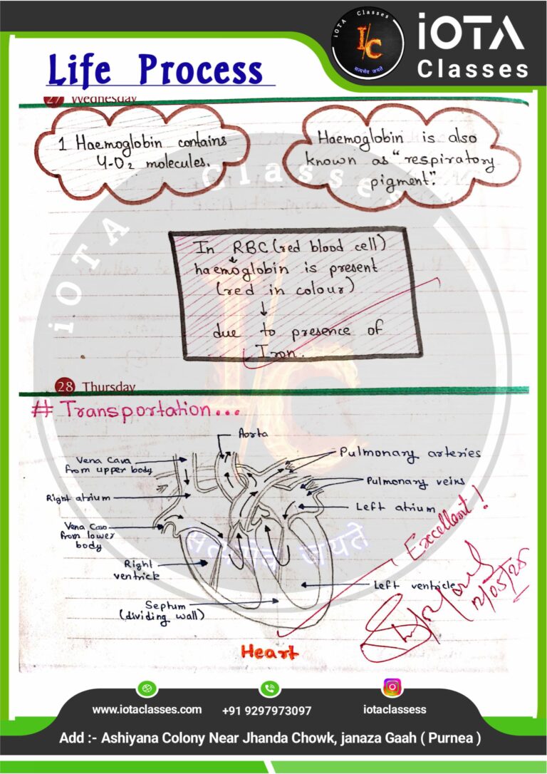 Life process class 10 Biology -images-26