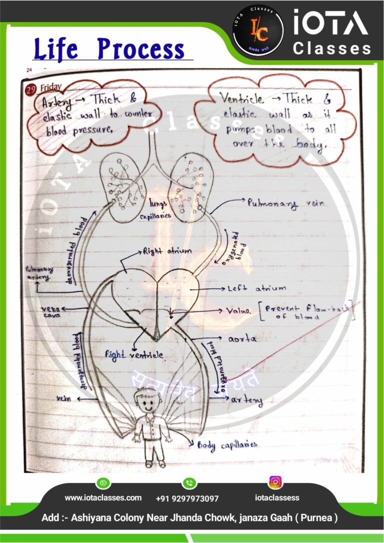 Life process class 10 Biology -images-27
