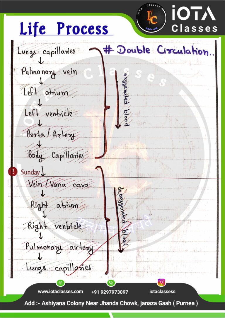 Life process class 10 Biology -images-28