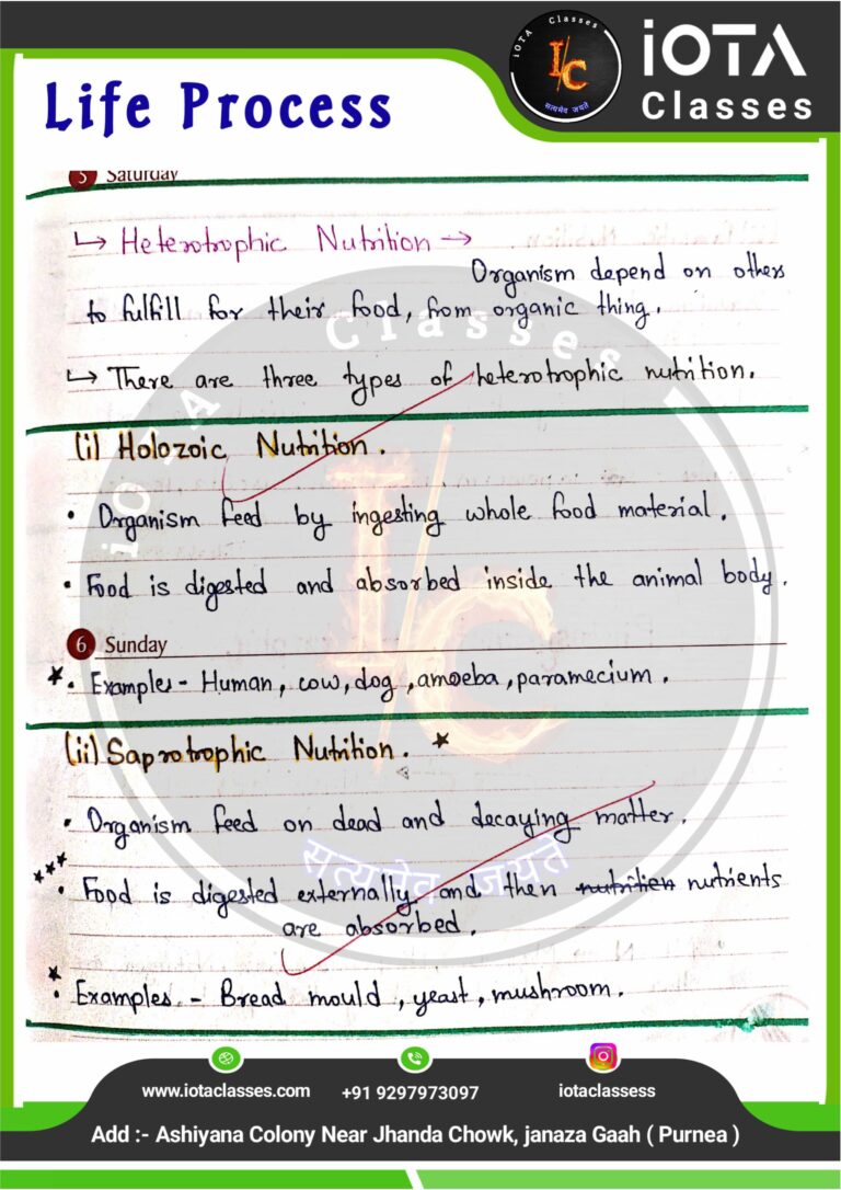 Life process class 10 Biology -images-3