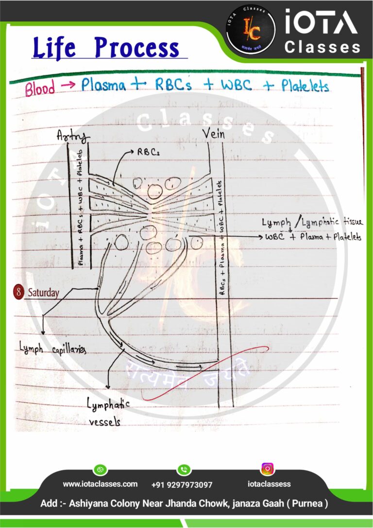 Life process class 10 Biology -images-31