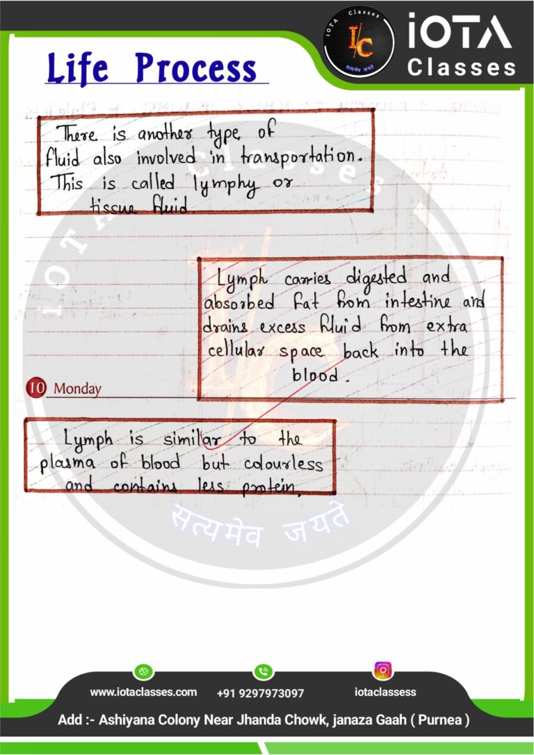 Life process class 10 Biology -images-32