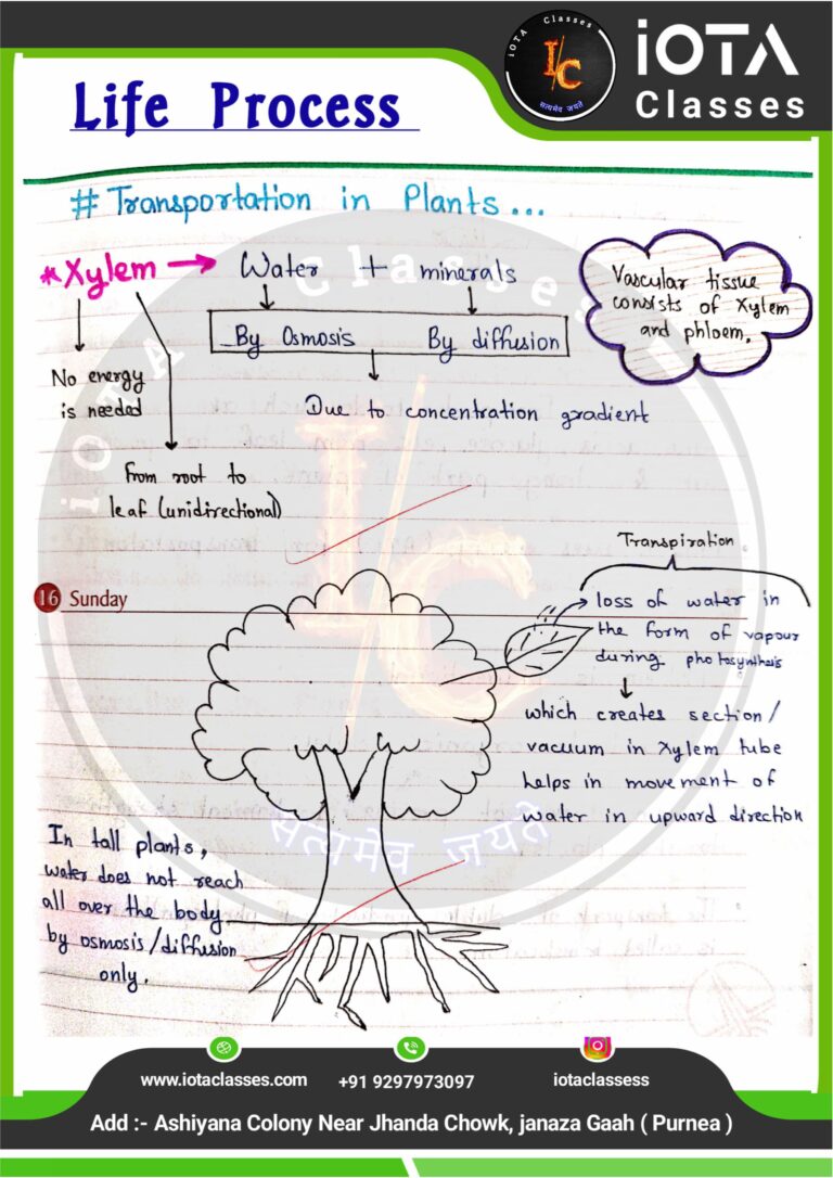 Life process class 10 Biology -images-35
