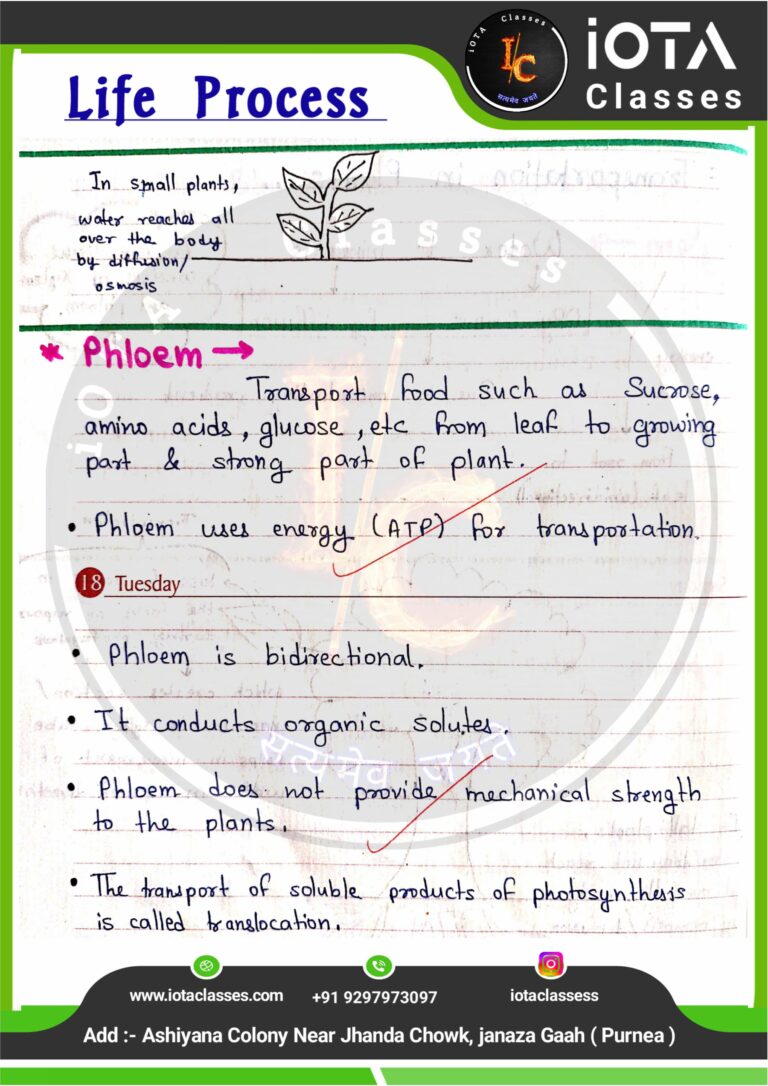 Life process class 10 Biology -images-36