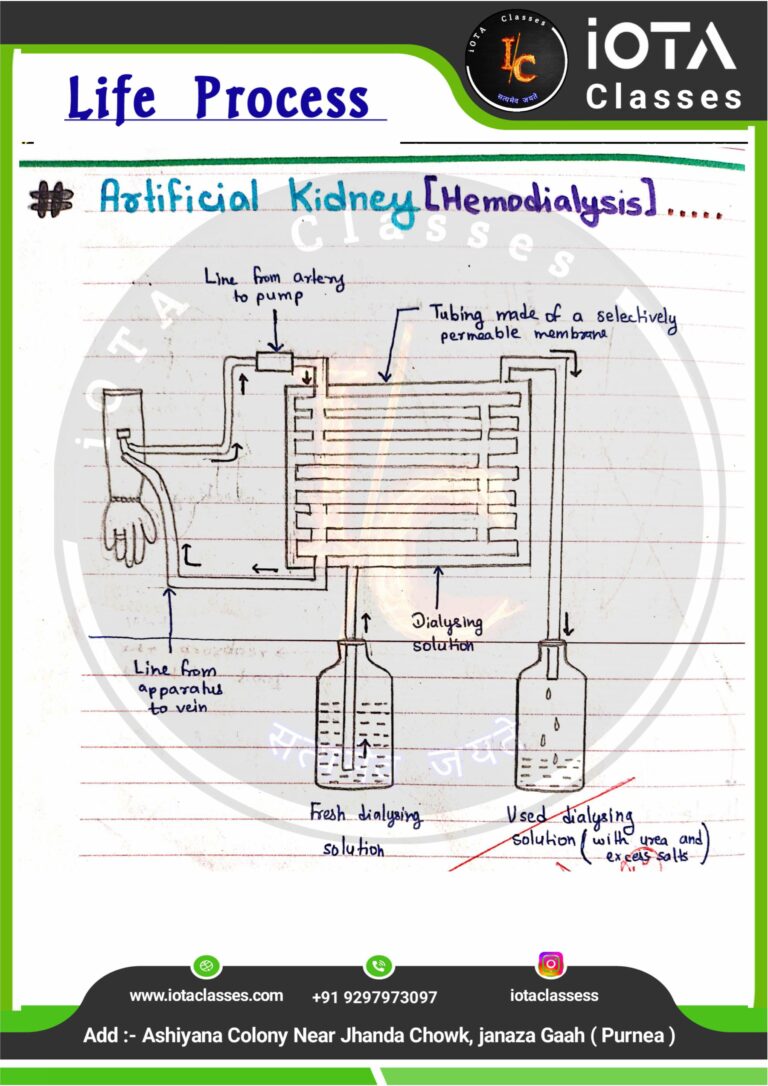 Life process class 10 Biology -images-40