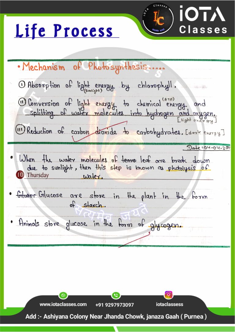 Life process class 10 Biology -images-5