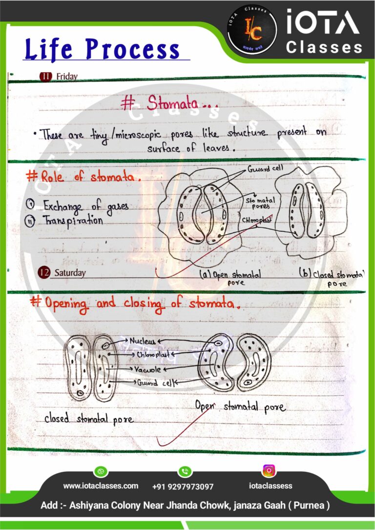 Life process class 10 Biology -images-6