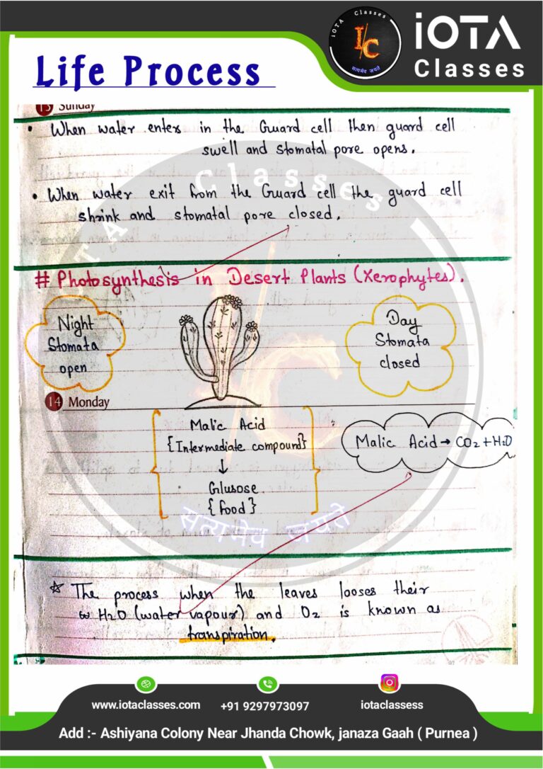 Life process class 10 Biology -images-7