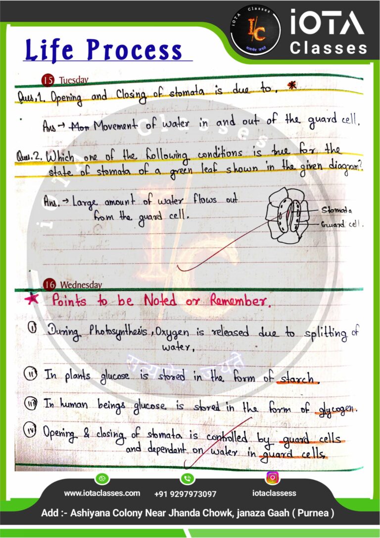 Life process class 10 Biology -images-8
