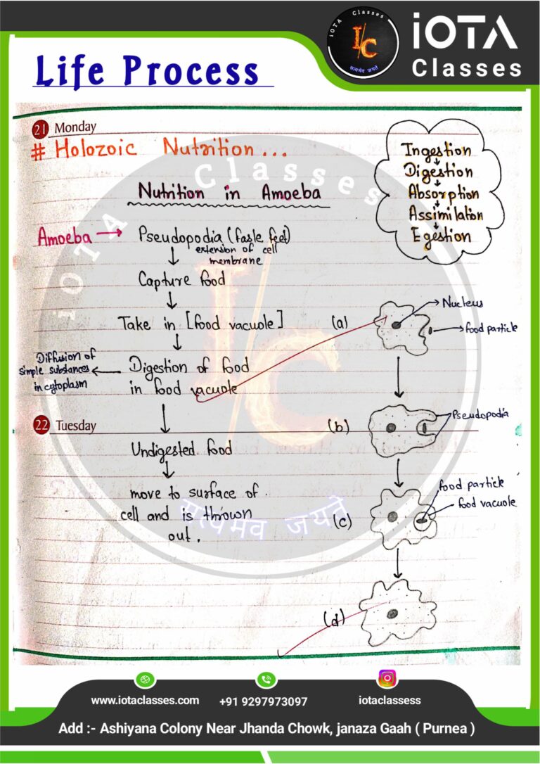 Life process class 10 Biology -images-9