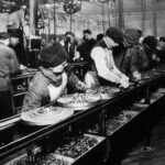 WhatsApp Image 2025 07 11 at 14.16.48 2caa1e97